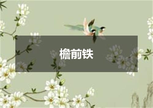 檐前铁