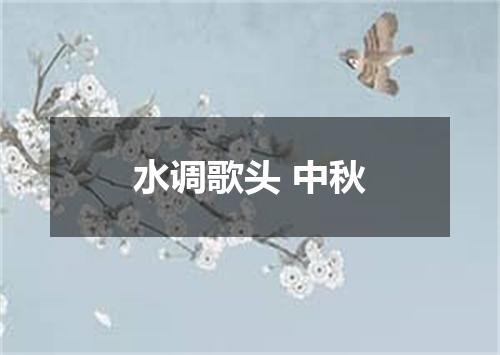 水调歌头 中秋
