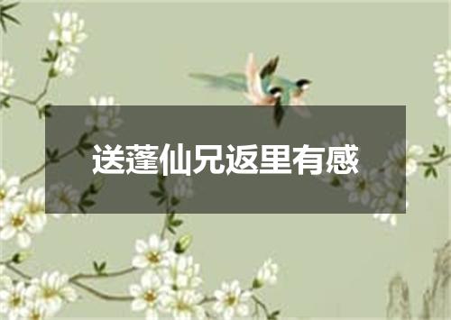 送蓬仙兄返里有感