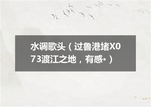 水调歌头（过鲁港堵X073渡江之地，有感·）