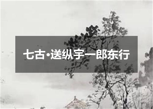 七古·送纵宇一郎东行