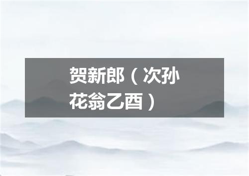 贺新郎（次孙花翁乙酉）