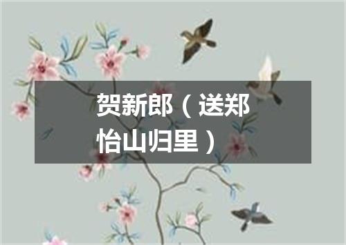 贺新郎（送郑怡山归里）