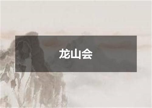 龙山会