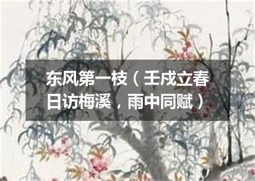 东风第一枝（壬戍立春日访梅溪，雨中同赋）