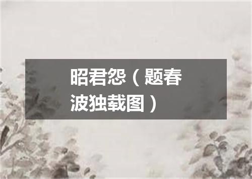 昭君怨（题春波独载图）