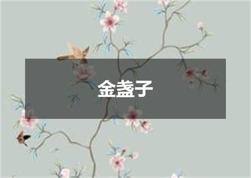 金盏子