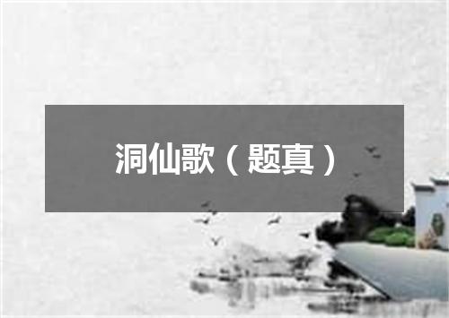 洞仙歌（题真）