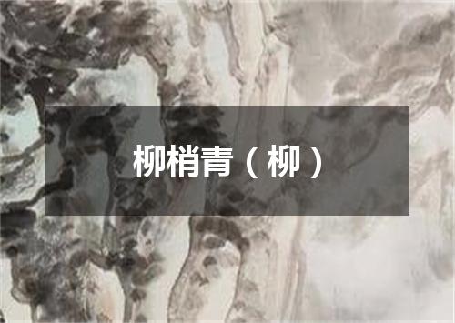 柳梢青（柳）