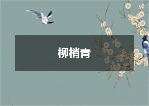 柳梢青