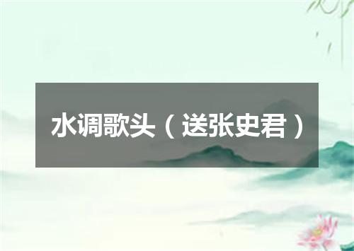 水调歌头（送张史君）