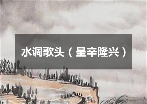 水调歌头（呈辛隆兴）