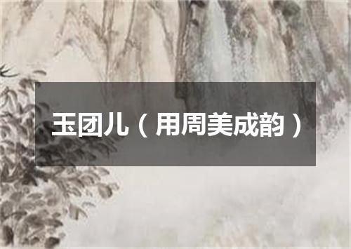 玉团儿（用周美成韵）