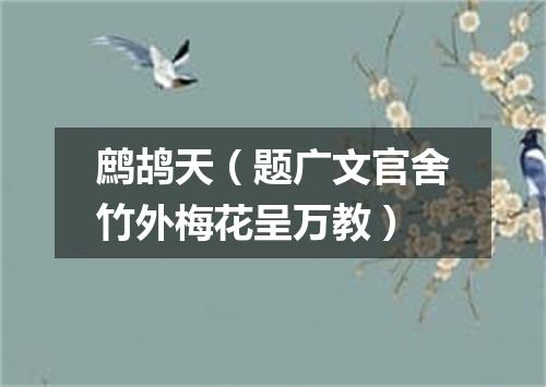 鹧鸪天（题广文官舍竹外梅花呈万教）