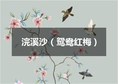 浣溪沙（鸳鸯红梅）