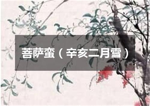 菩萨蛮（辛亥二月雪）