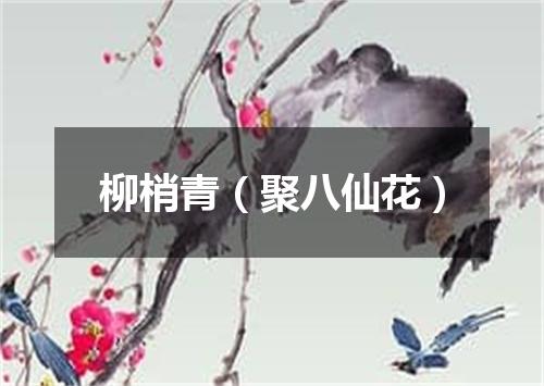 柳梢青（聚八仙花）