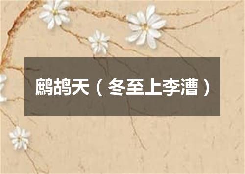 鹧鸪天（冬至上李漕）