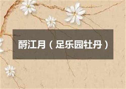 酹江月（足乐园牡丹）