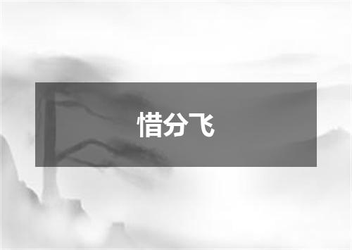 惜分飞