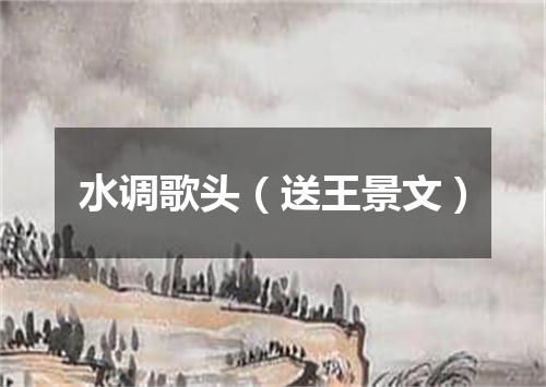 水调歌头（送王景文）