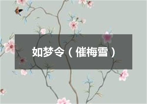 如梦令（催梅雪）