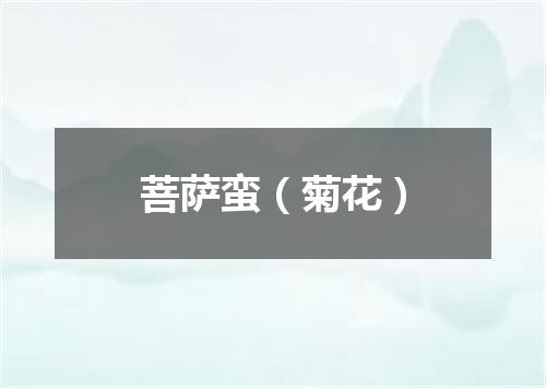 菩萨蛮（菊花）