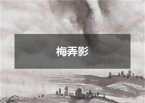 梅弄影