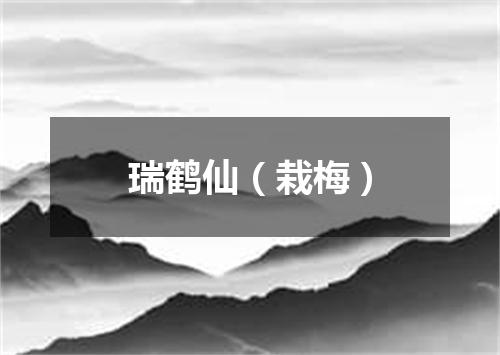 瑞鹤仙（栽梅）