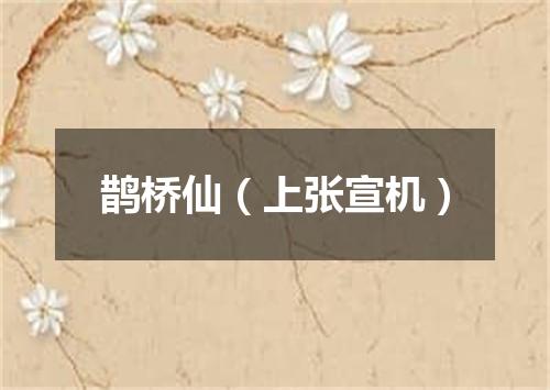 鹊桥仙（上张宣机）