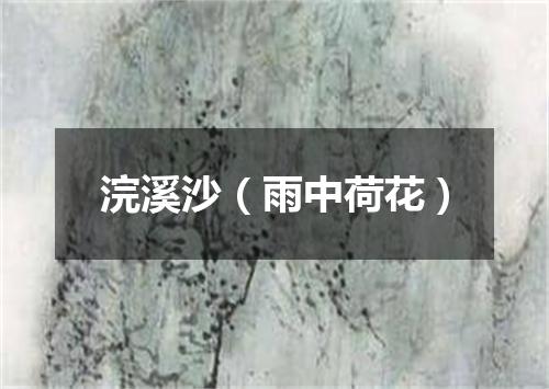 浣溪沙（雨中荷花）