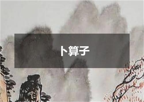 卜算子