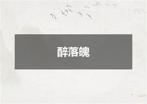 醉落魄
