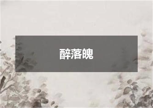 醉落魄
