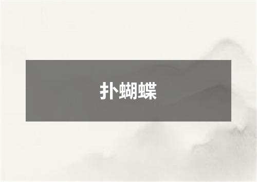 扑蝴蝶