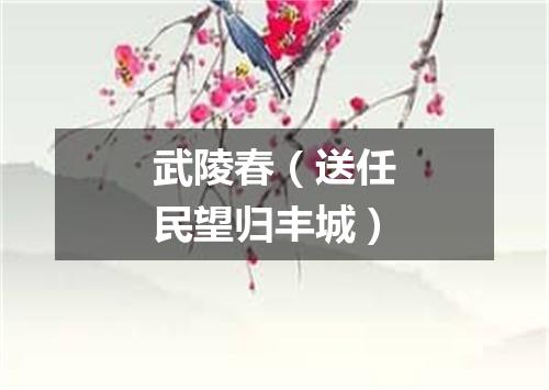 武陵春（送任民望归丰城）