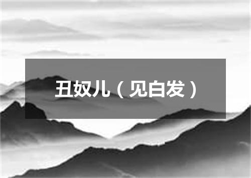 丑奴儿（见白发）