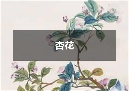 杏花