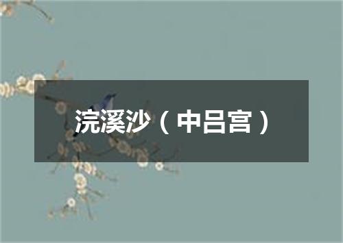 浣溪沙（中吕宫）