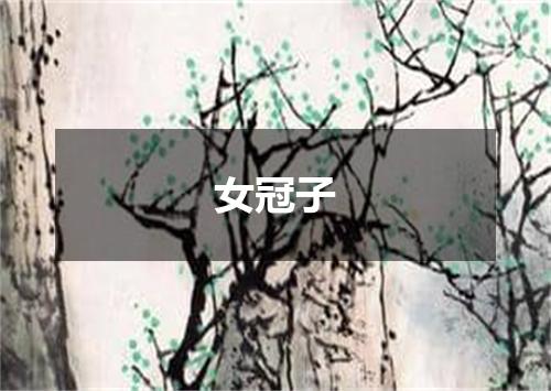 女冠子