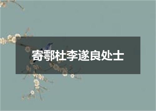 寄鄠杜李遂良处士