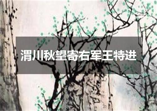 渭川秋望寄右军王特进