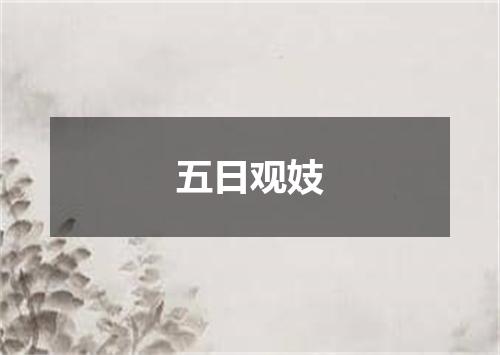 五日观妓