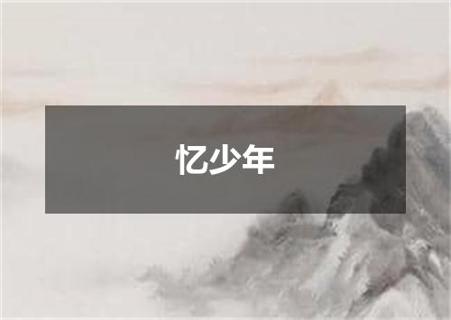 忆少年