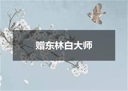 赠东林白大师