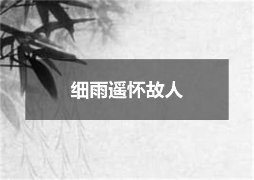 细雨遥怀故人