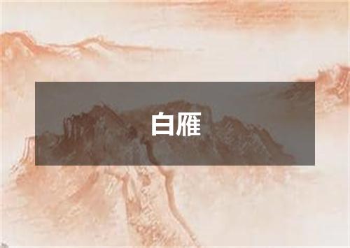 白雁