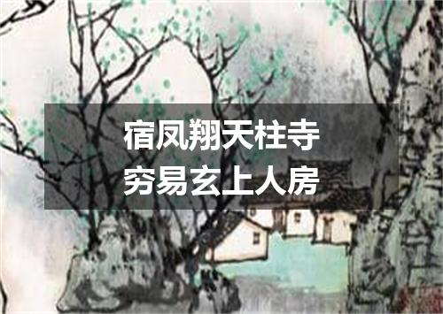 宿凤翔天柱寺穷易玄上人房