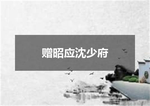 赠昭应沈少府