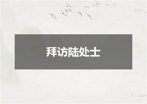 拜访陆处士
